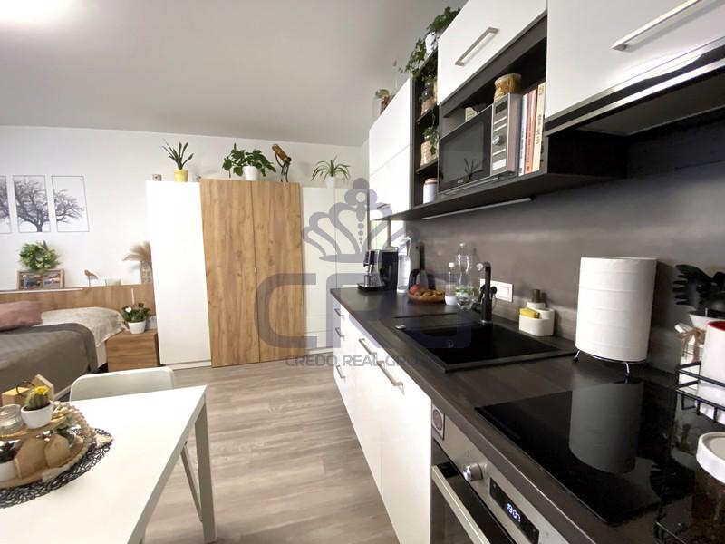 PRONÁJEM BYTU 1+KK S TERASOU, SLAVKOV U BRNA - foto 10