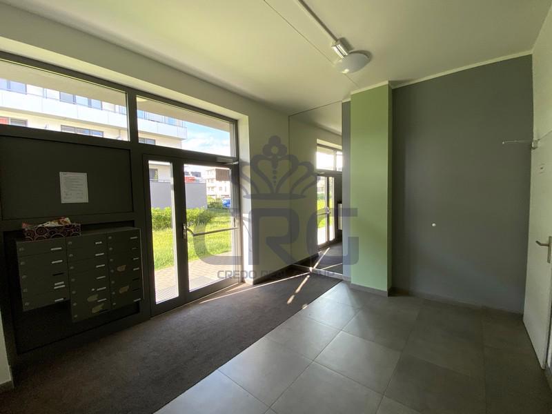 PRONÁJEM BYTU 1+KK S TERASOU, SLAVKOV U BRNA - foto 16