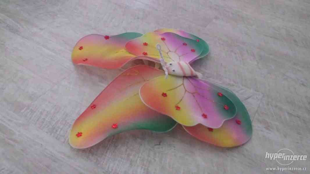 Motýlí křídla - foto 2