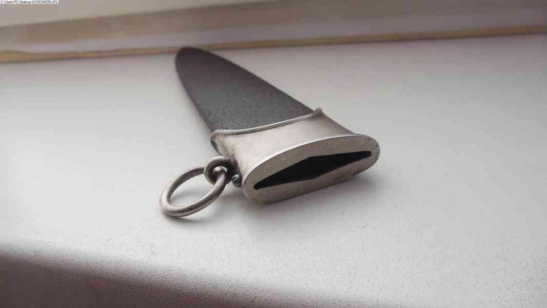 Pochva SS-SA (1) - foto 5