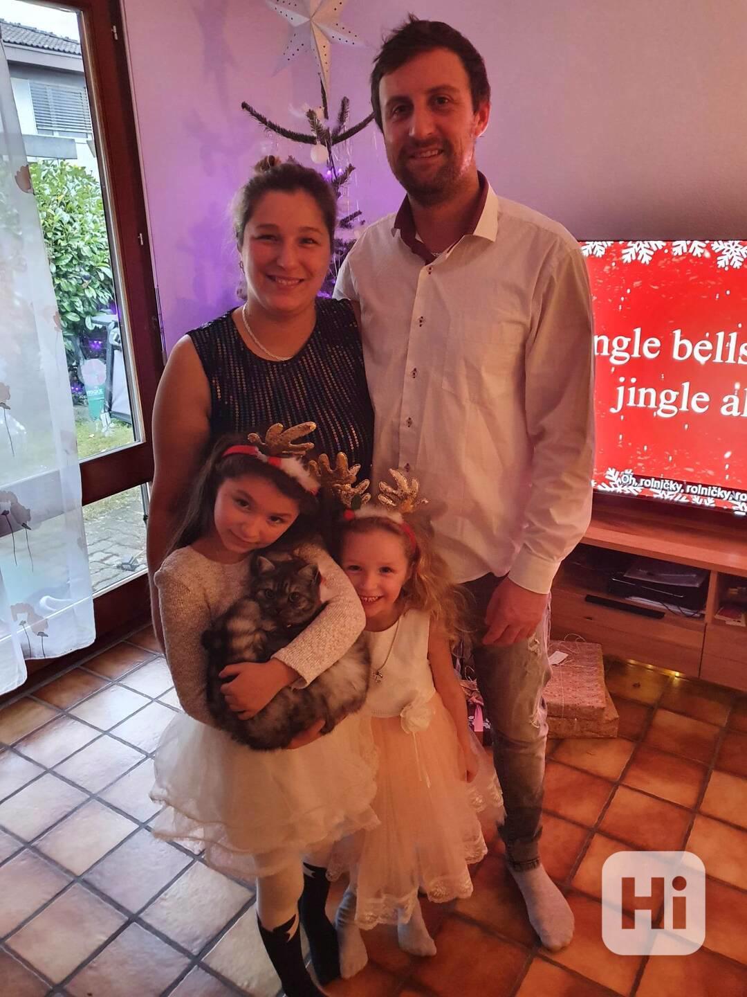 Hledame štĕnătko Toy pudla mini s PP. - foto 1