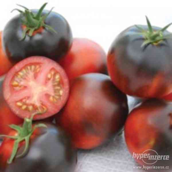 rajče Indigo Apple - semena - foto 1