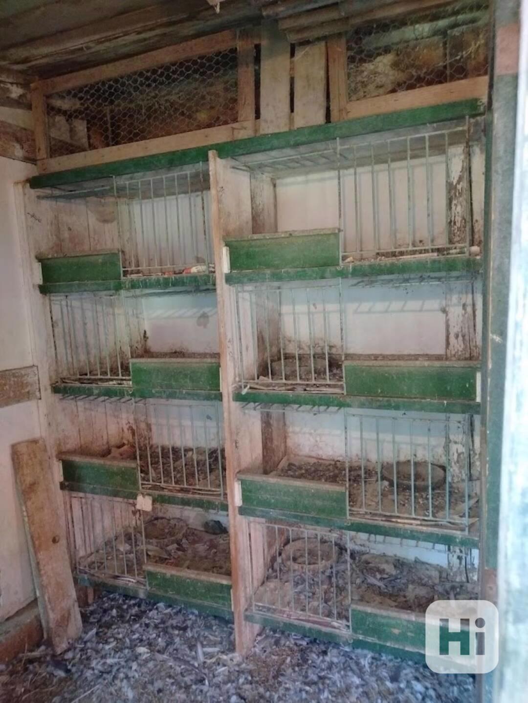 Zařízení holubníku - foto 1