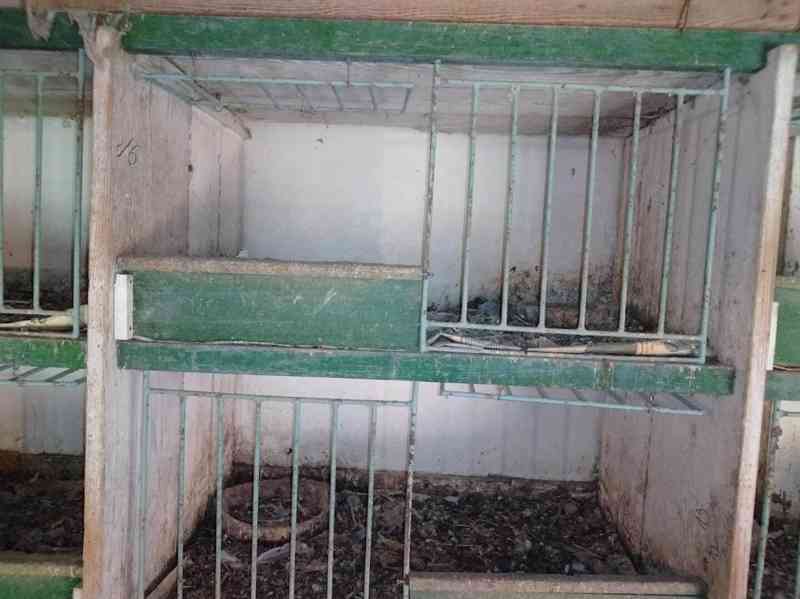 Zařízení holubníku - foto 3
