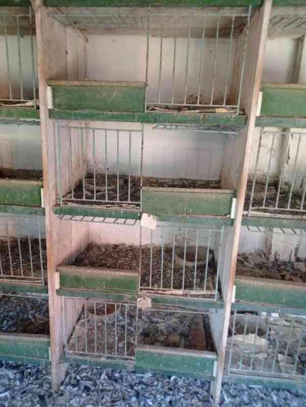 Zařízení holubníku - foto 4