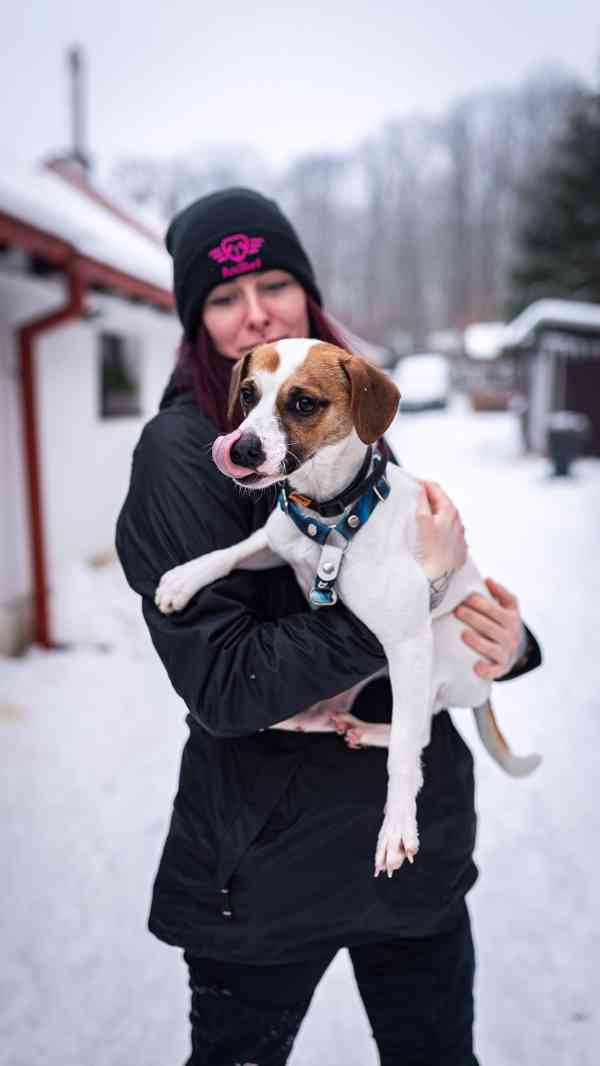 Odie - hyperaktivní kluk, 3 roky - foto 10