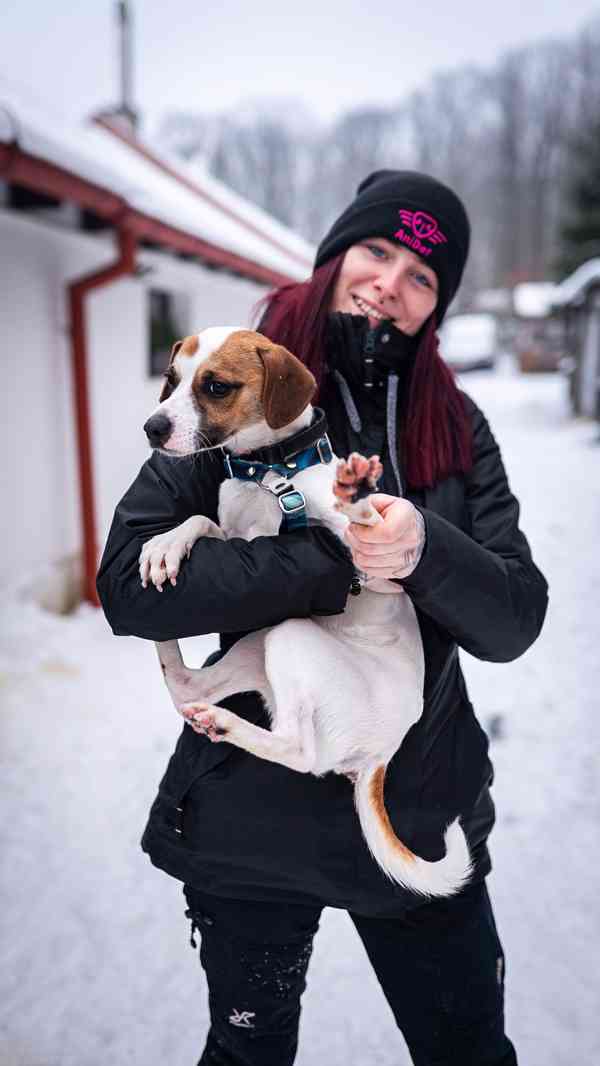 Odie - hyperaktivní kluk, 3 roky - foto 9