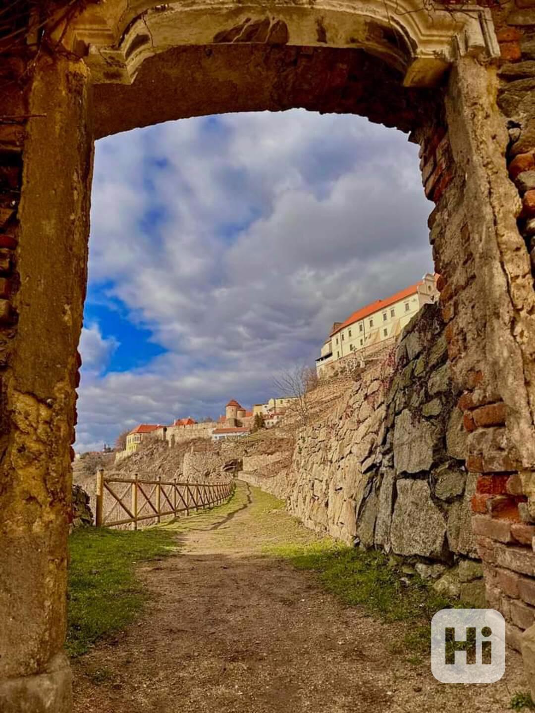 Poptávám štěňátko  - foto 1