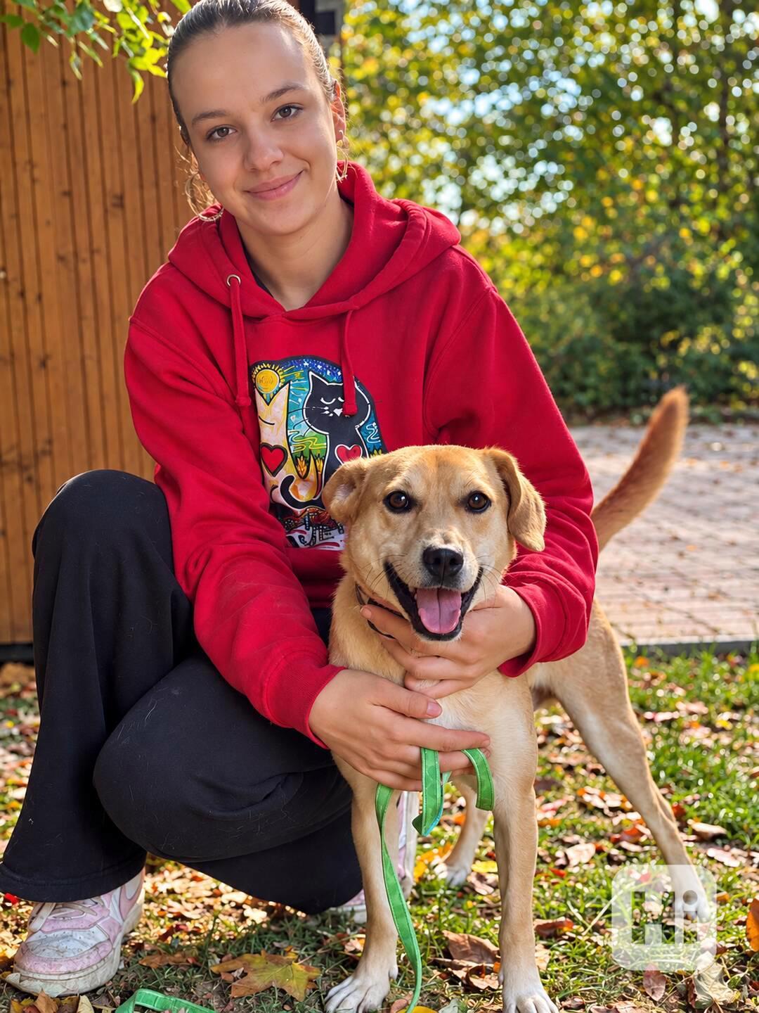 RIKY - do 20 kg, kastrovaný psík 2 roky  - foto 1