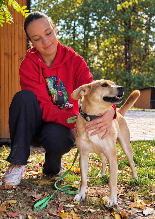 RIKY - do 20 kg, kastrovaný psík 2 roky  - foto 6