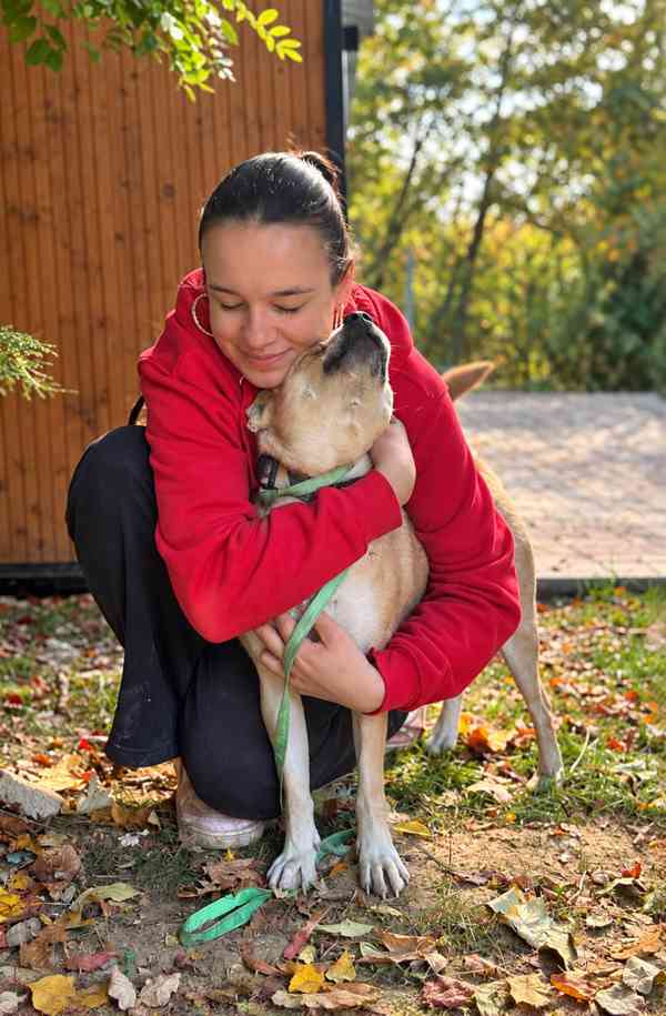 RIKY - do 20 kg, kastrovaný psík 2 roky  - foto 4