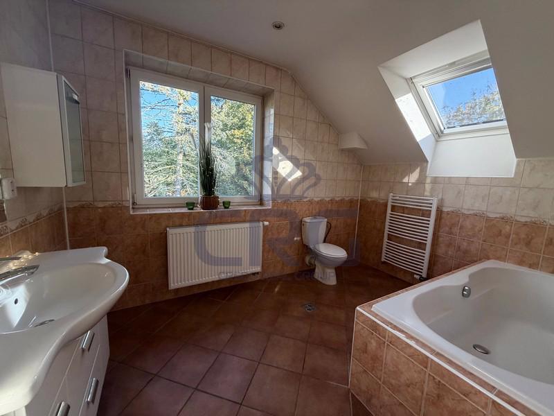 PRODEJ SAMOSTATNĚ STOJÍCÍHO RD 6+KK V OBCI MOKRÁ HORÁKOV - foto 14