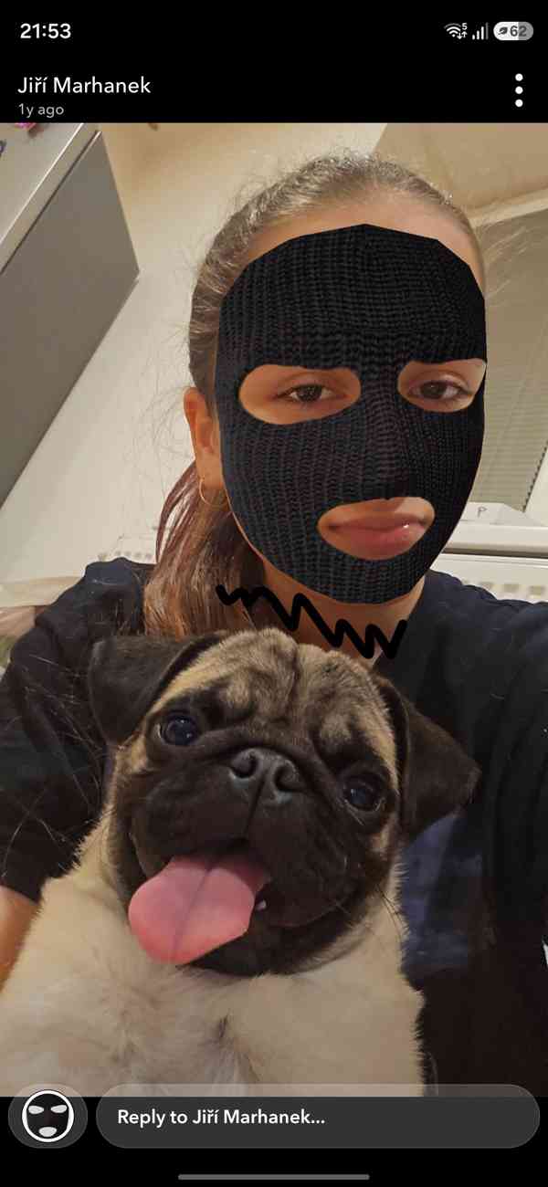 Mops - foto 1