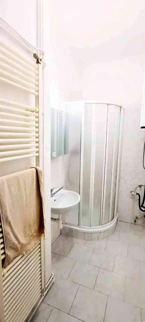Pronájem bytu 1+1 47 m² - foto 5