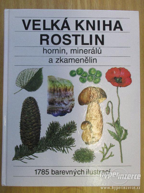 Velká kniha rostlin, hornin, minerálů a zkamenělin - foto 1
