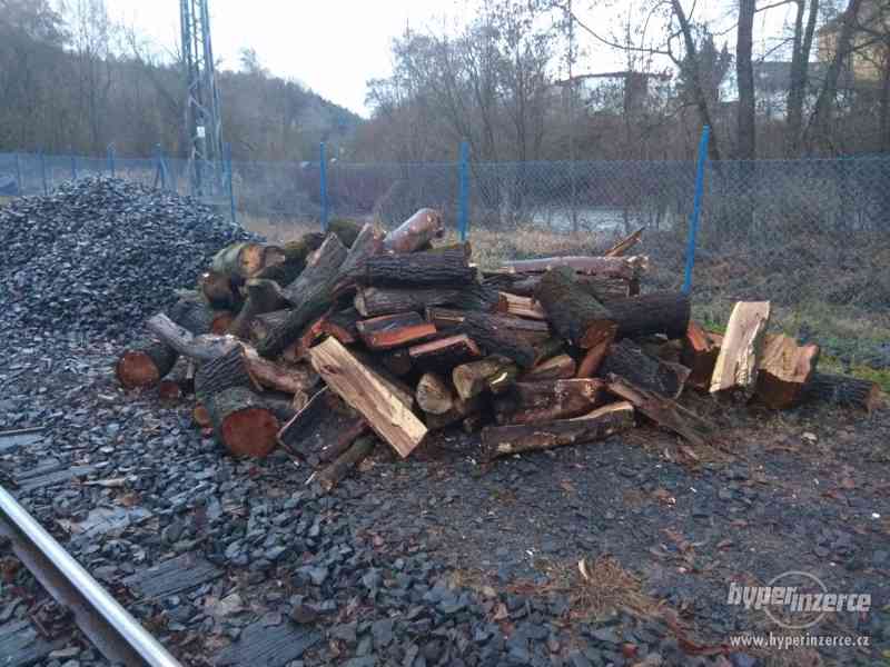 Palivové dřevo-Kyselka - foto 2