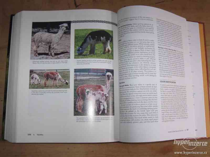 Nejlepší kniha o chovu alpak - foto 3