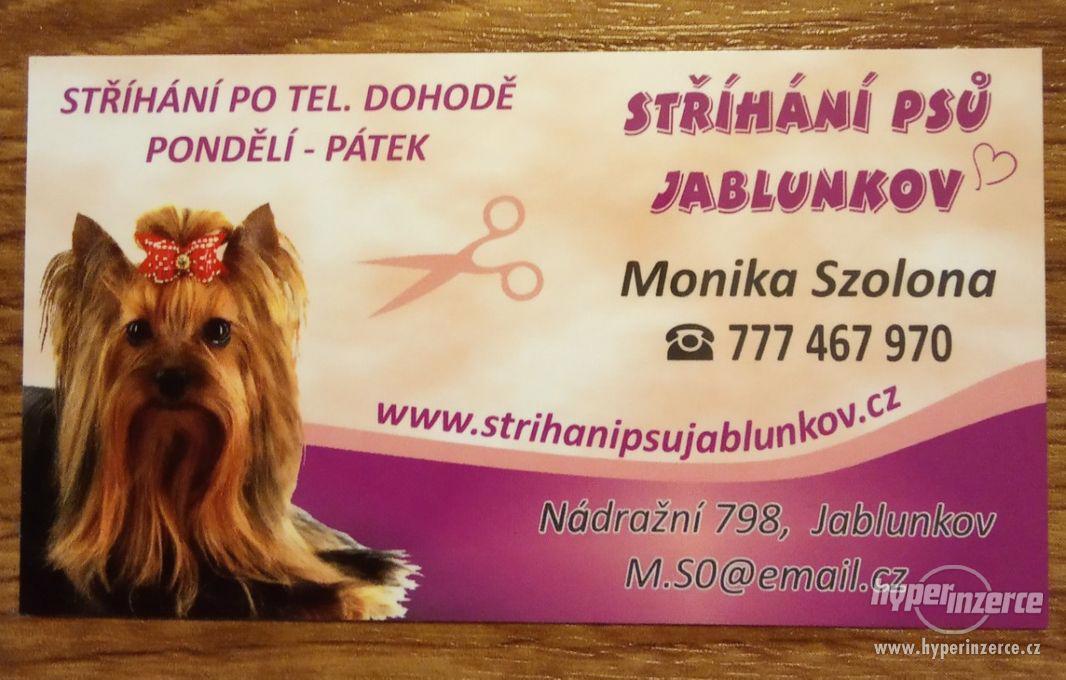 Stříhání  psů Jablunkov. - foto 1
