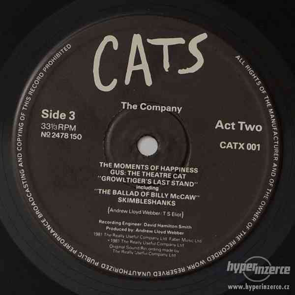 ANDREW LLOYD WEBBER - CATS MUSICAL (2LP) - foto 10