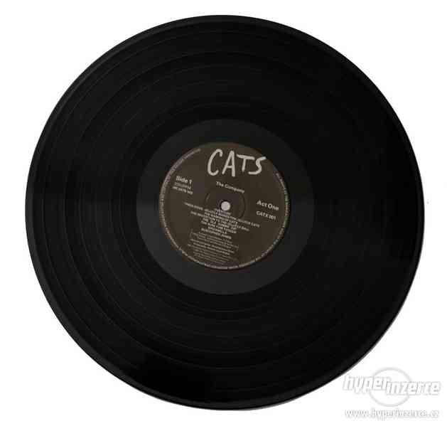 ANDREW LLOYD WEBBER - CATS MUSICAL (2LP) - foto 15