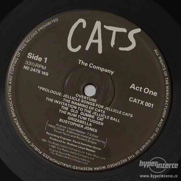 ANDREW LLOYD WEBBER - CATS MUSICAL (2LP) - foto 16