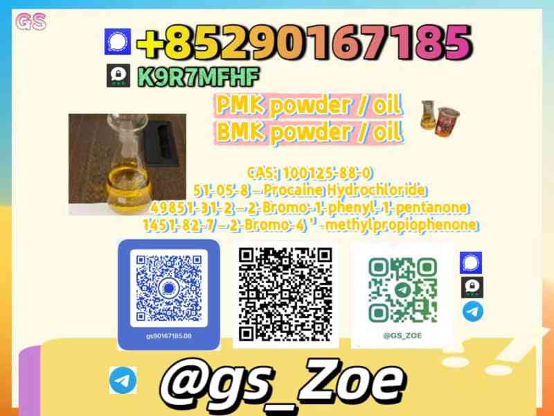 Order NEW P M K C A S 49851-31-2 Now - foto 2