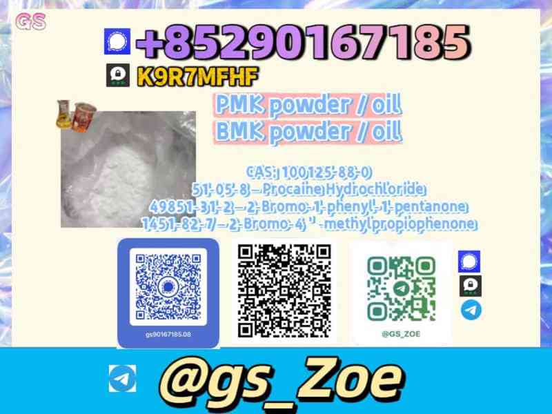 Order NEW P M K C A S 49851-31-2 Now - foto 3