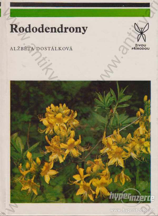 Rododendrony Dostálová Edice Živou přírodou 1981 - foto 1