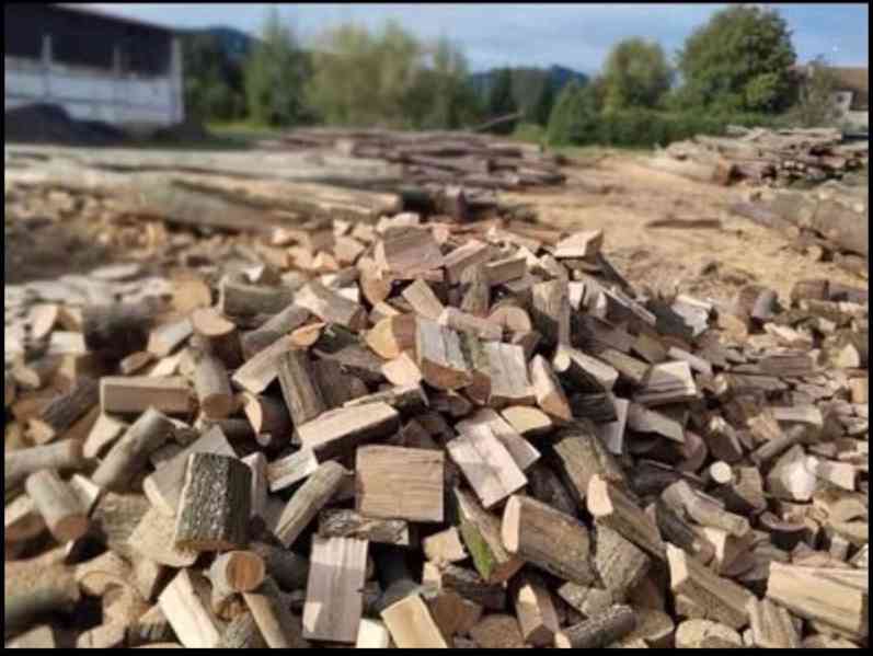 palivove dřevo - foto 2