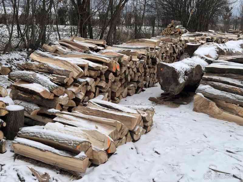 palivove dřevo - foto 4