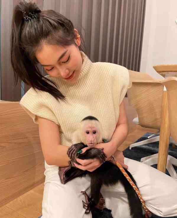 Zdarma Dítě kapucínské opice k adopci nyní zdarma - foto 3