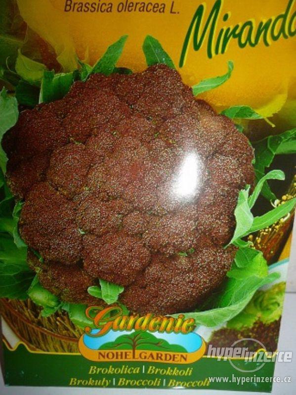 Brokolice-Miranda :Semena /www.levna-semena.cz - foto 1