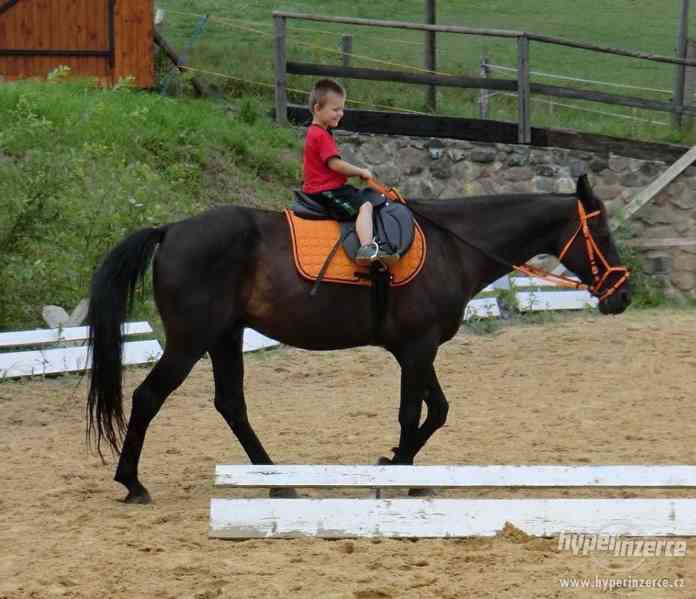 Nabízím ježdění Děčínsko - foto 2