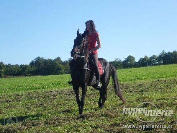 Nabízím ježdění Děčínsko - foto 3