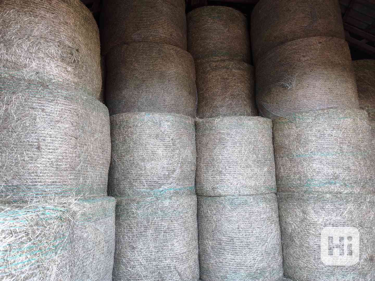 Zelené BIO seno v suchu kvalitní certifikované skladované  - foto 1