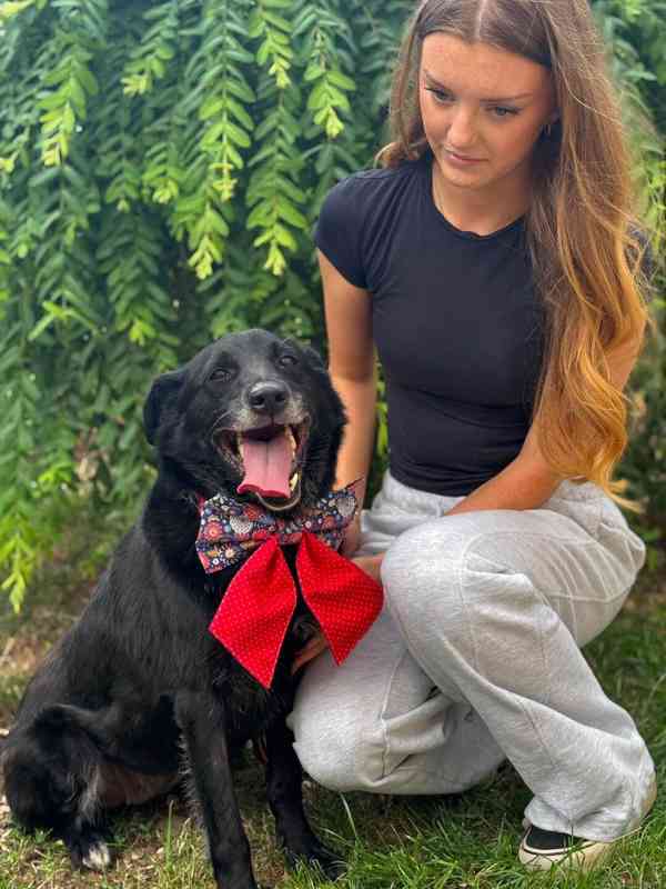 ZARA - kastrovaná fenečka 2-3 roky  - foto 1