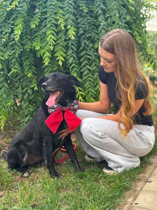 ZARA - kastrovaná fenečka 2-3 roky  - foto 4