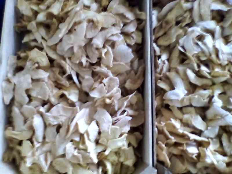 sušené jablíčka křížaly - foto 3