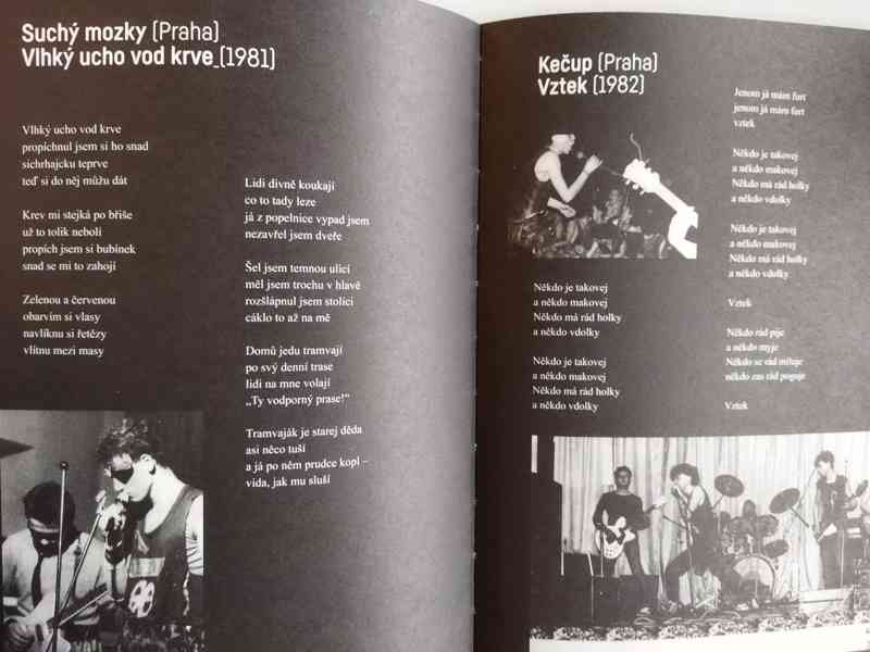 Všechno je špatně, zpátky na stromy - Radim Kopáč  (kniha) - foto 7