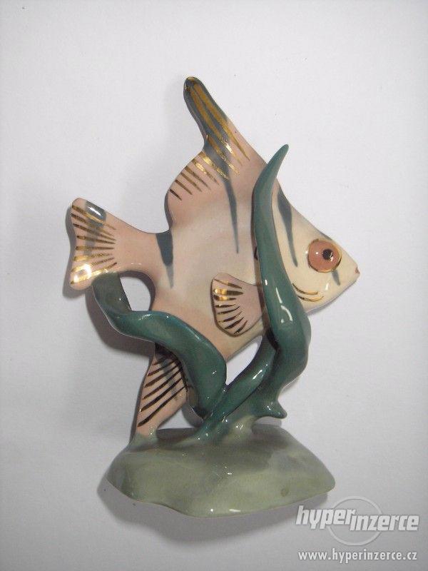 Plastická dekorace - zlacená ryba - foto 1
