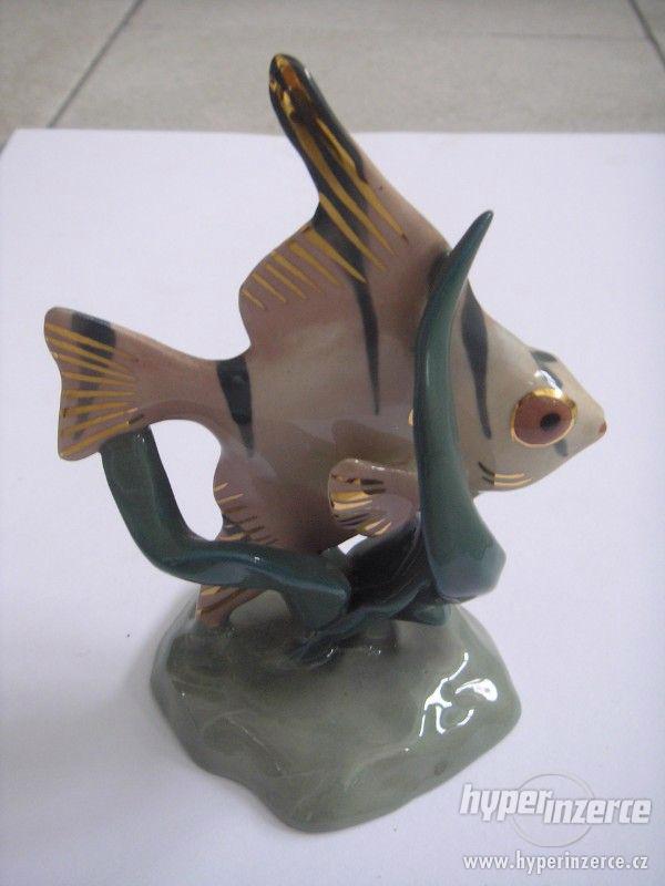 Plastická dekorace - zlacená ryba - foto 5
