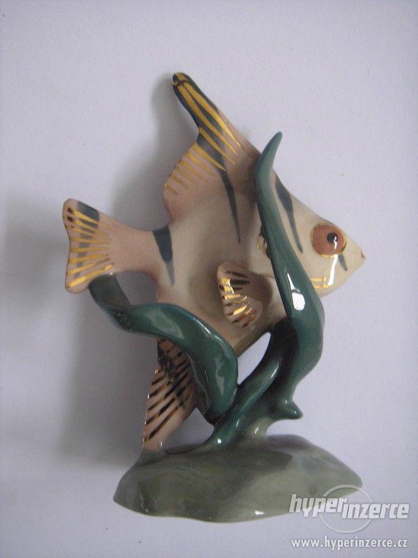 Plastická dekorace - zlacená ryba - foto 6