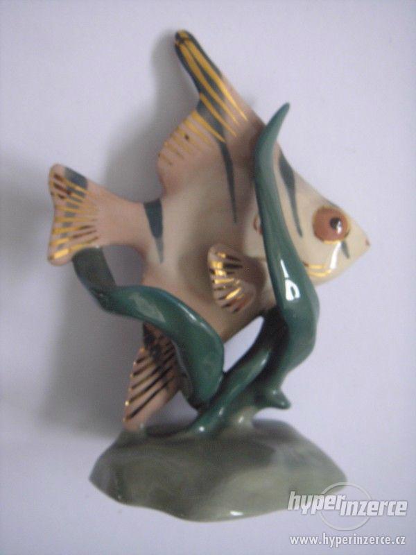 Plastická dekorace - zlacená ryba - foto 7