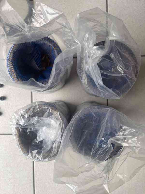 Pístní skupina motor MMZ D 243, D245,D 65 M  - foto 6