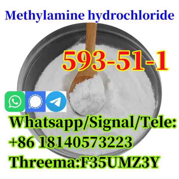 CAS 593-51-1 Methylamine hydrochloride LT-S9151 good price w