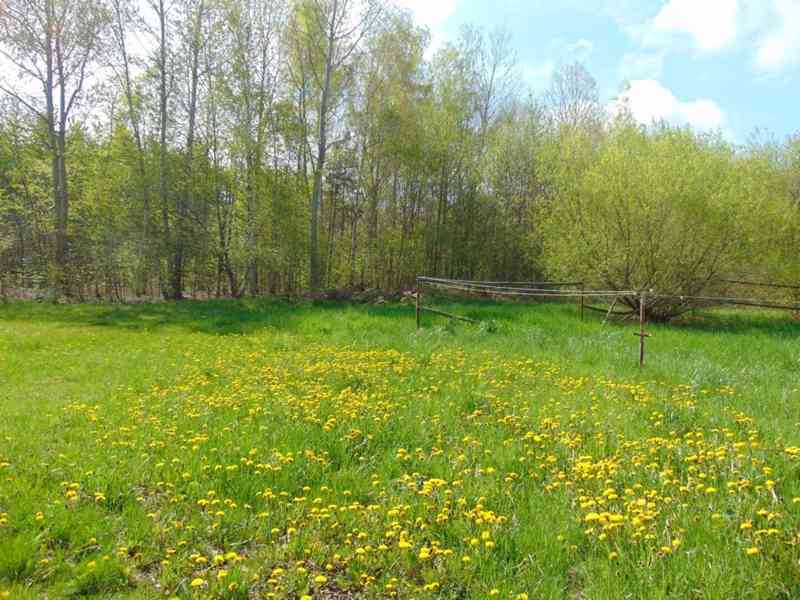 Pronájem, Chalupa, 64,62 m² - Skuteč - foto 11