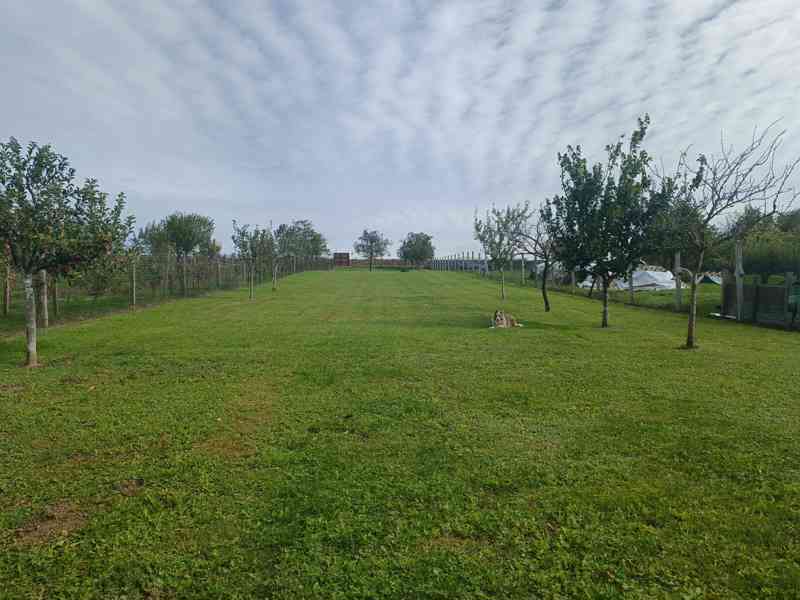 Prodej domu - foto 4