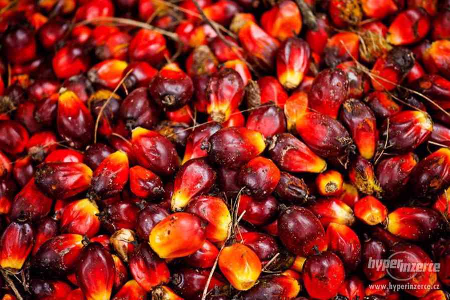 surového a rafinovaného palmového oleje - foto 1