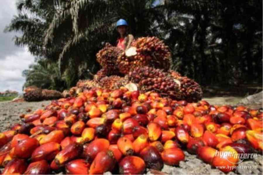 surového a rafinovaného palmového oleje - foto 2