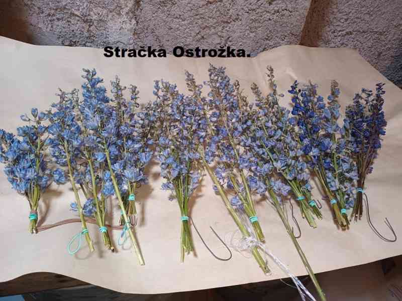 Sušené květiny. - foto 5